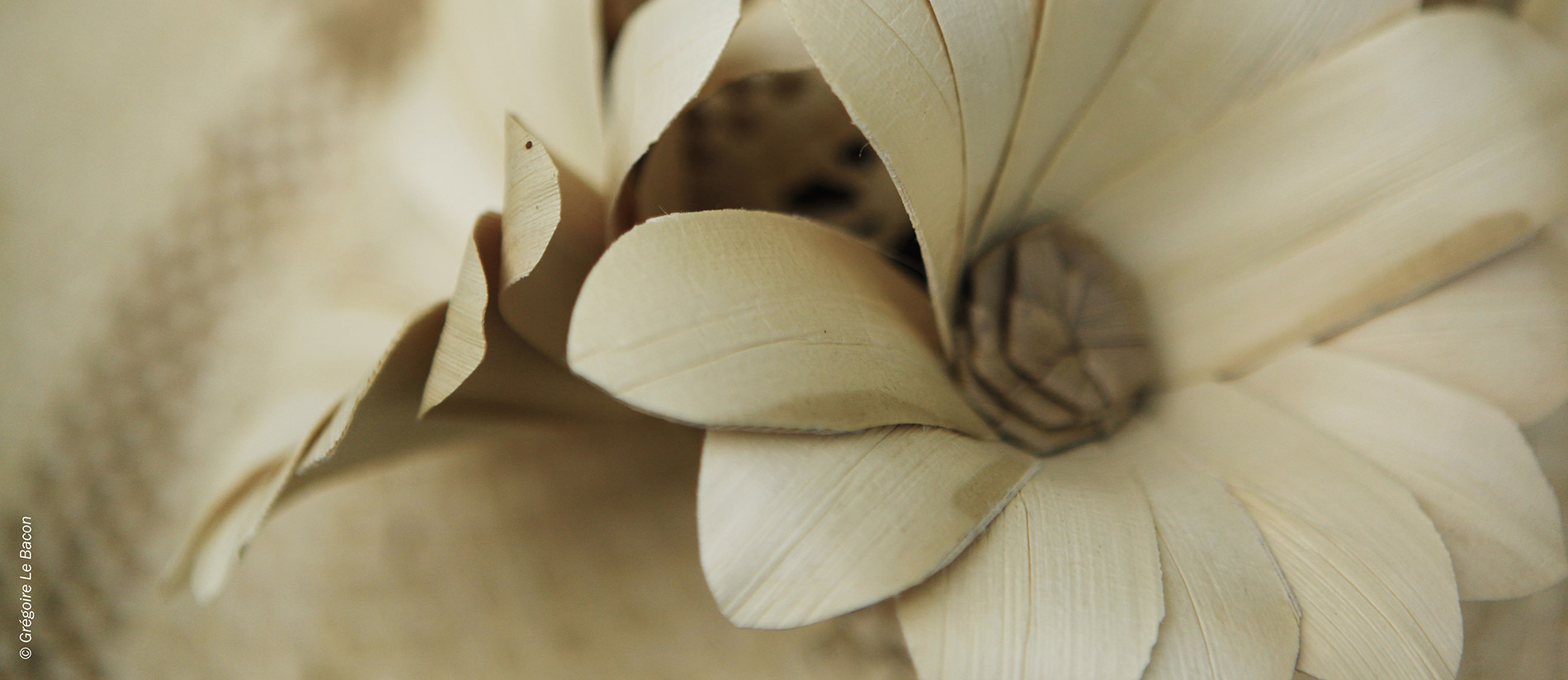 Gregoire_Le_Bacon_22762